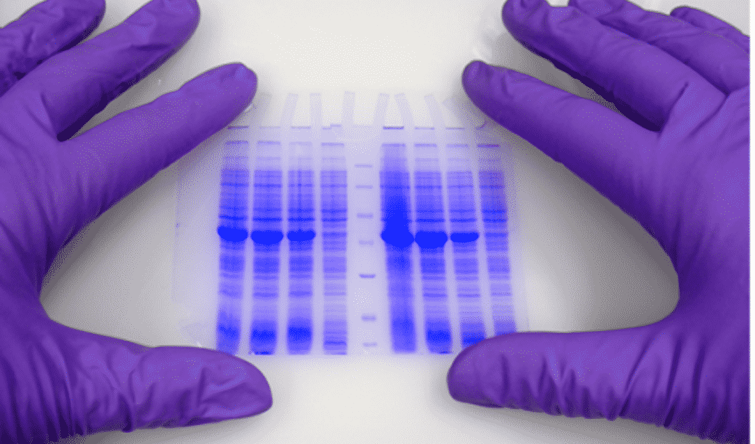 Surface active film enduit bandelettes analyse formulation enduction héliogravure Rexor