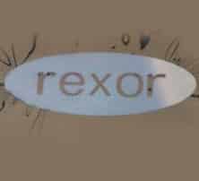 Rexor inforgraphie démétallisation chimique